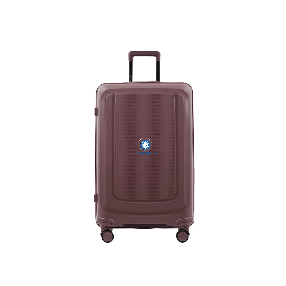 Protector HARD ABS Check-in Luggage